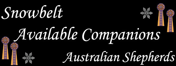 Companions_Logo