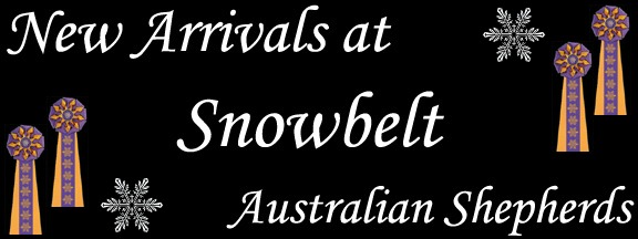 New Arrivals Logo